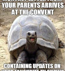 Letters from your parents