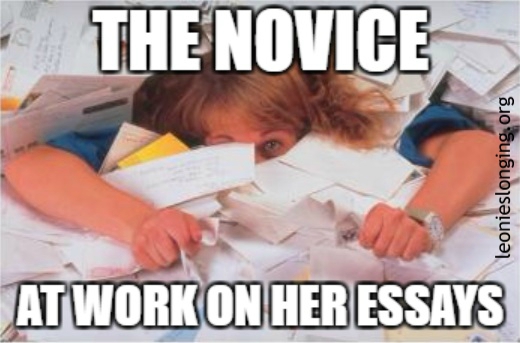 Novice working on essays