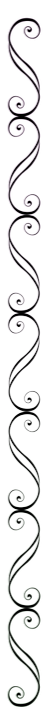 Decorative swirl