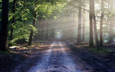 Let Him Lead – A Video of Encouragement